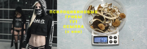 2c-b Елизово