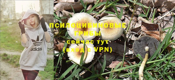 mix Дмитриев