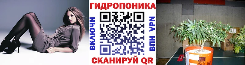 Шишки марихуана VHQ  Канск 